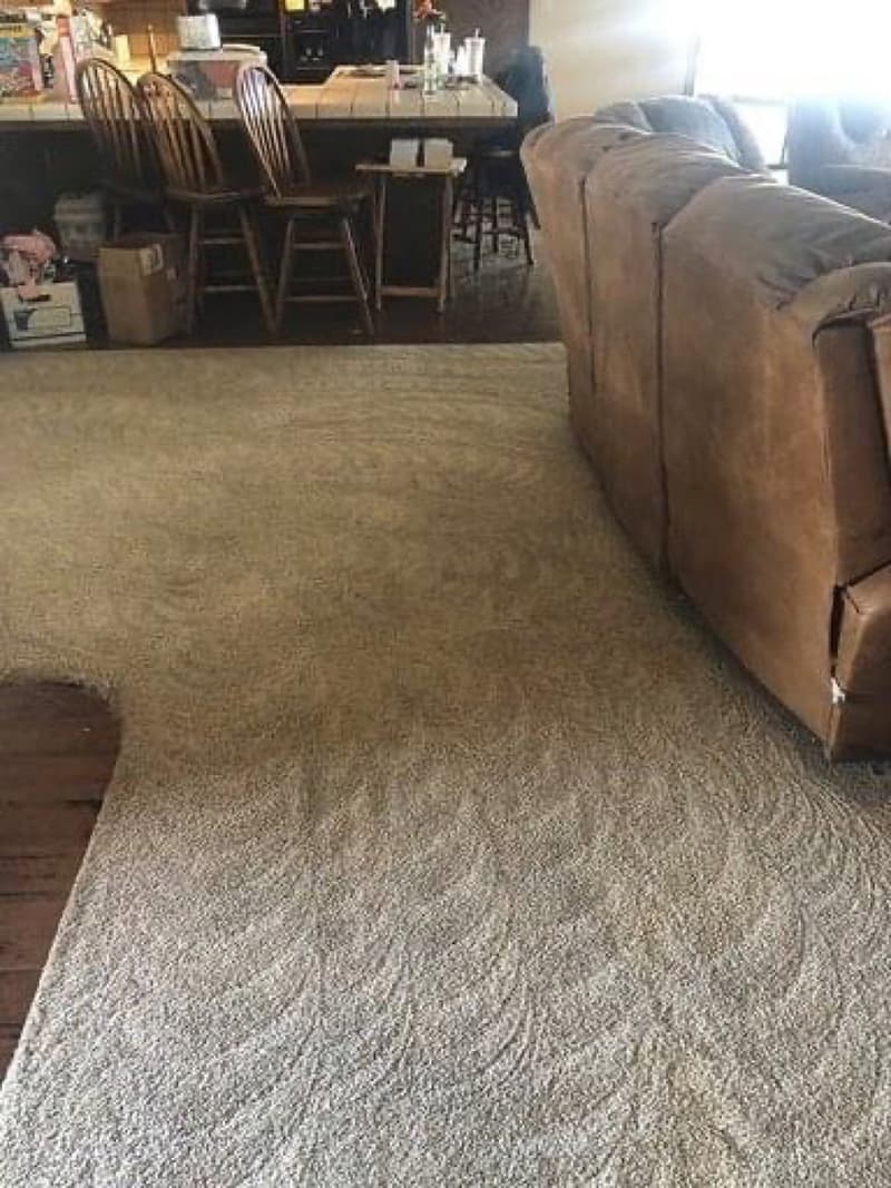Carpet in a living room after cleaning