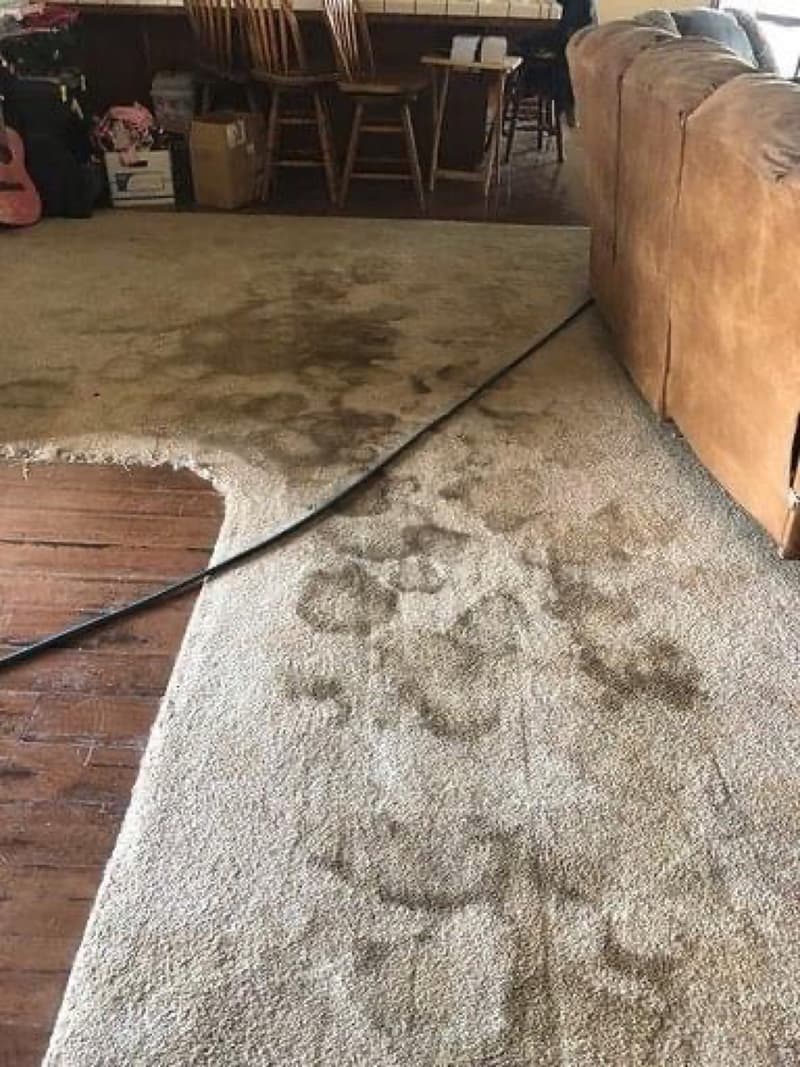 Carpet in a living room before cleaning