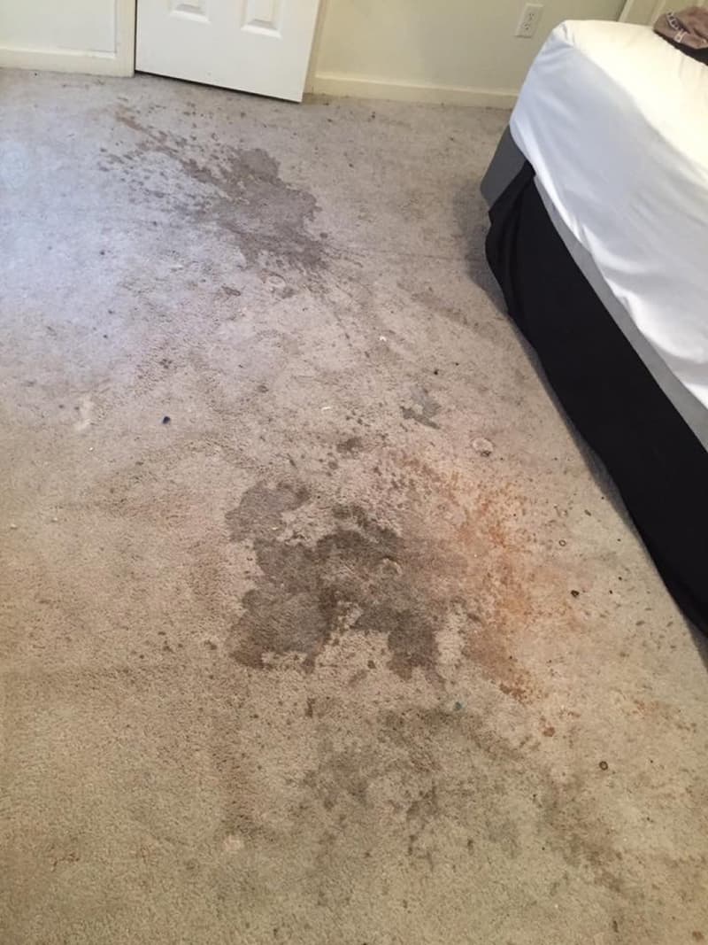 Bedroom carpet before cleaning