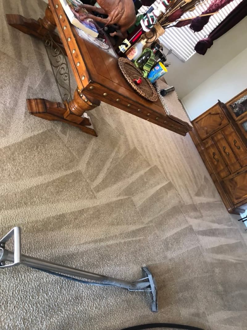 Carpet in a room with a wooden table after cleaning
