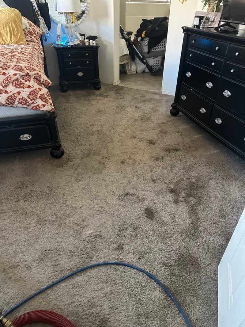 Bedroom carpet before cleaning