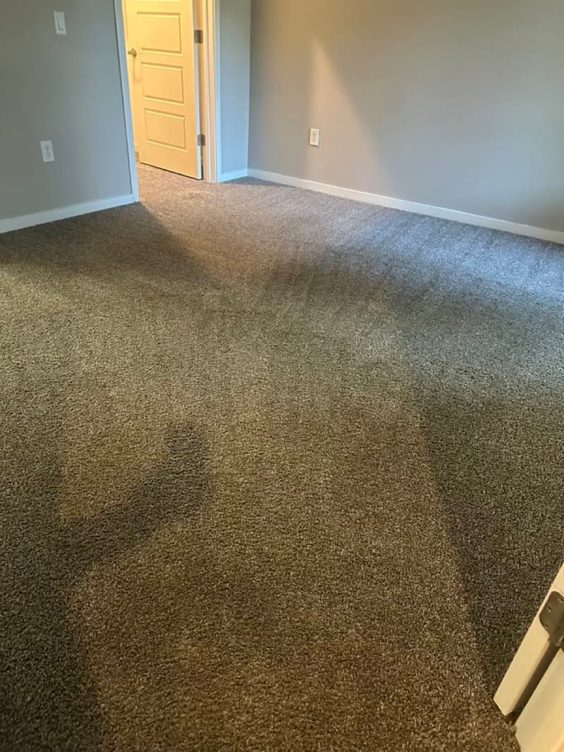 Carpet in a room after cleaning