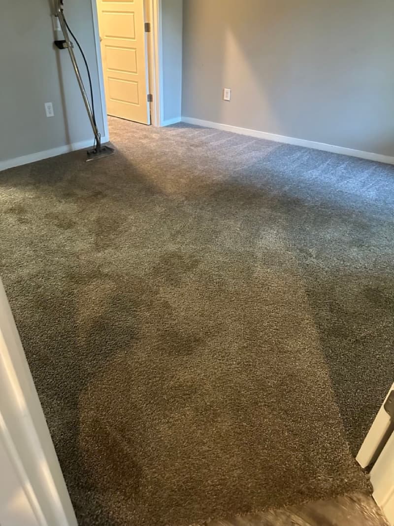 Carpet in a room before cleaning