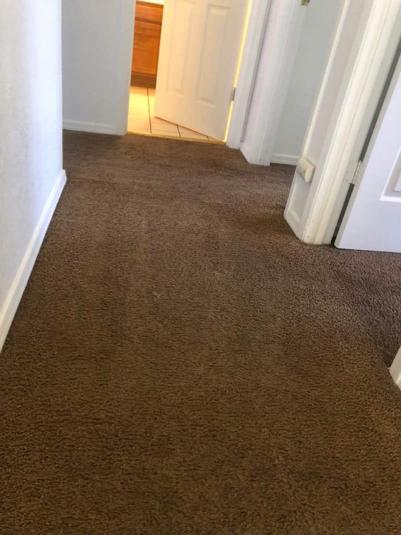 Hallway carpet after cleaning
