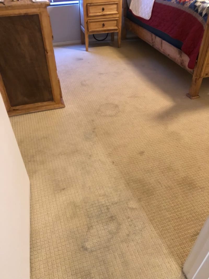 Bedroom carpet before cleaning