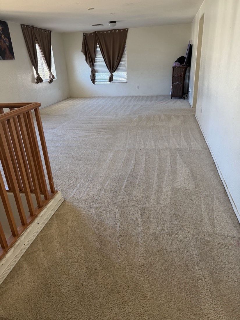 A stair landing with freshly cleaned carpet and a wood banister