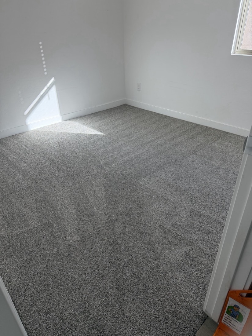 A grey carpet cleaned in a bright room