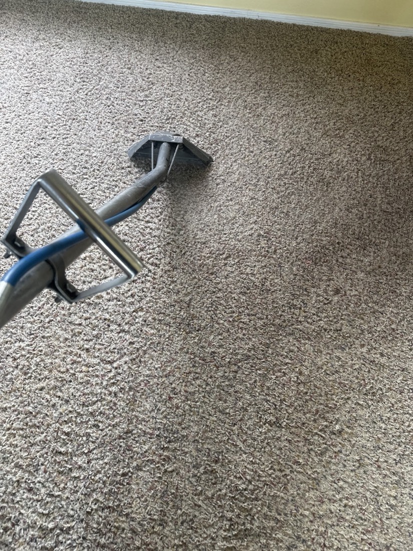 The extractor wand working across beige carpet