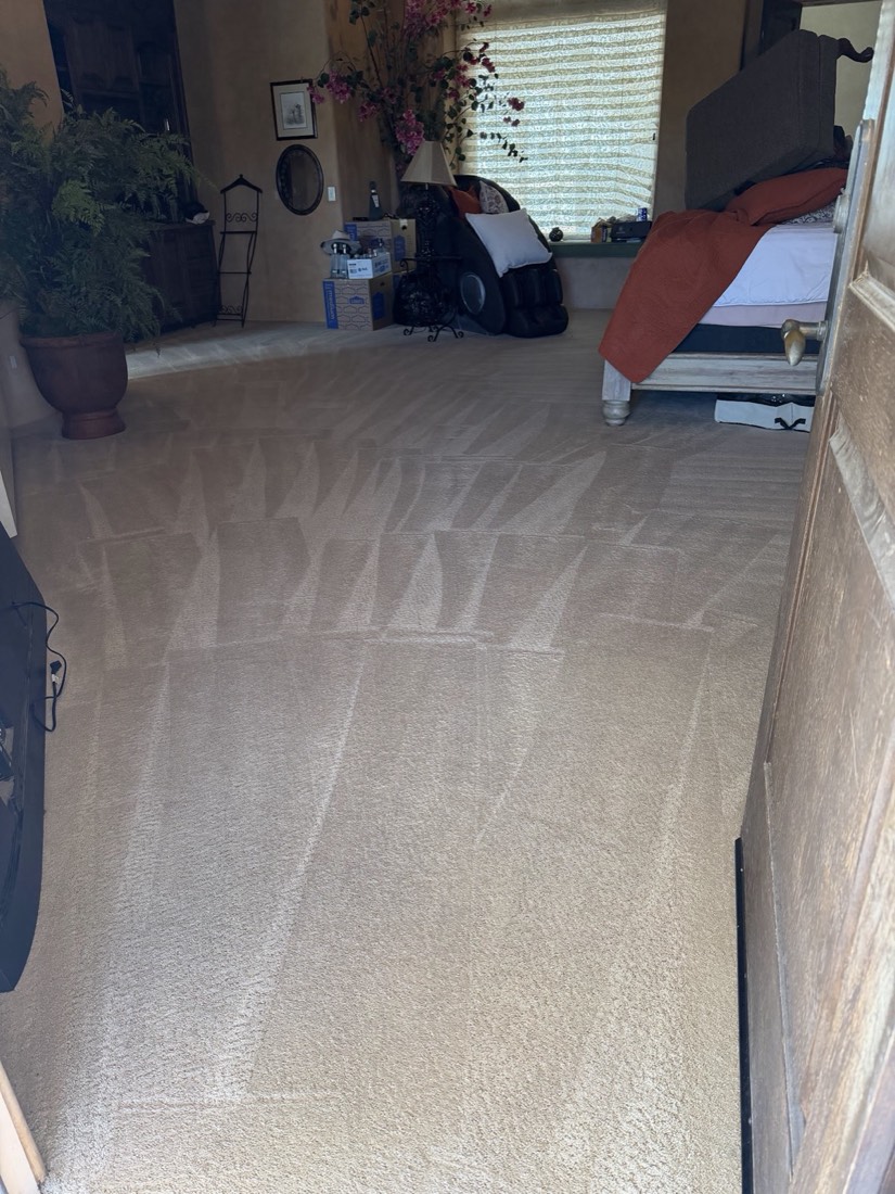 A bedroom with freshly cleaned carpet